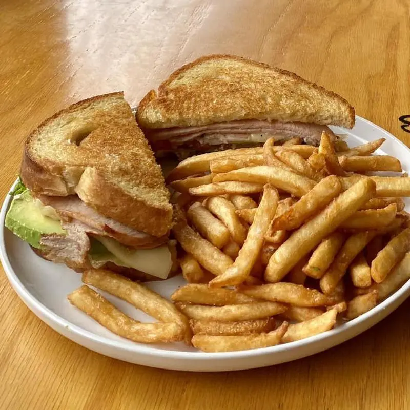 Toasted turkey and avocado sandwich with fries