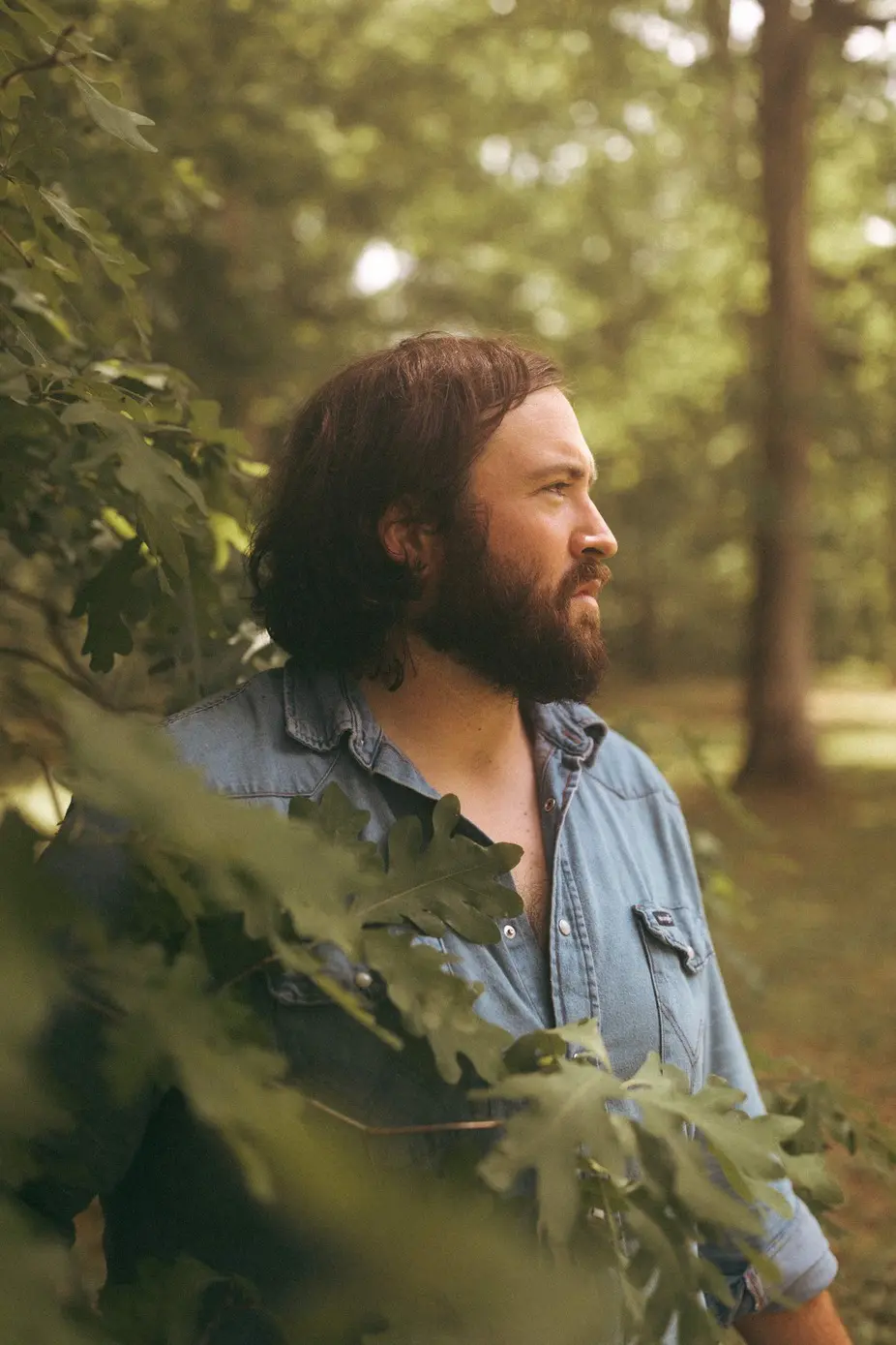 Bearded man in denim shirt in woods